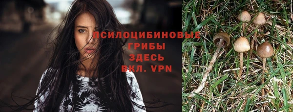 бошки Нея