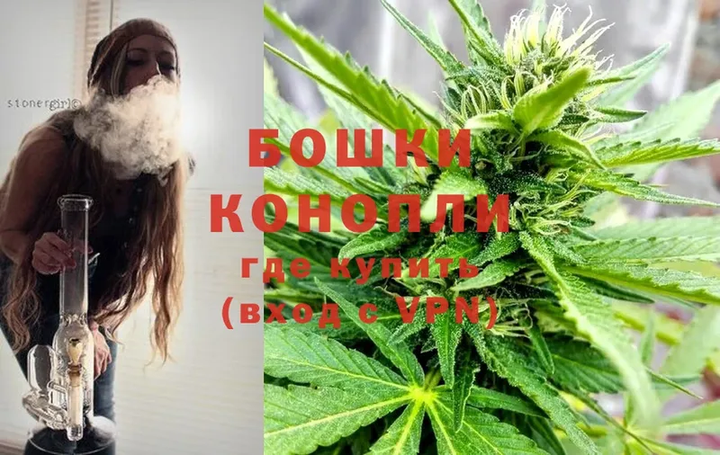 Бошки марихуана индика  наркотики  Александровск 